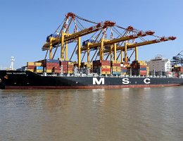 MSC ALICANTE - 270m [IMO:9480174] Containerschiff (Container ship) Aufnahme: 2019-04-16 Baujahr: 2011 | DWT: 74477t | Breite: 40m | Tiefgang: 13,5m | Ladekapazität: 5550 TEU...