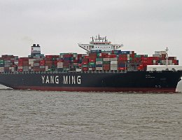 YM WITNESS - 368m [IMO:9704609] Containerschiff (Container ship) Aufnahme: 2015-12-29 Baujahr: 2015 | DWT: 137825t | Breite: 51m | Ladekapazität: 14080 TEU Baureihe:...