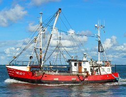 NEU 217 AURORA - 20m Fischkutter (Trawler) Aufnahme: 2019-09-02 Baujahr: 1982 | Breite: 6,00m Maschinenleistung: 221 KW