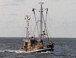 NEU 226 KEEH-TIED - 16m Fischkutter (Trawler) Aufnahme: 2014-08-05 Baujahr: 1968 | Breite: 4,70m Maschinenleistung: 184 KW