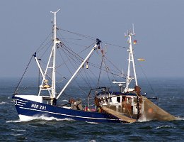 NOR 201 ROSWIETHA - 19m Fischkutter (Trawler) Neuaufnahme: 2018-09-27 (2018-02-18) Baujahr: 1979 Maschinenleistung: 213 KW