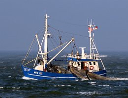 NOR 202 PIROLA - 17m Fischkutter (Trawler) Aufnahme: 2018-09-27 Baujahr: 1987 | Breite: 5,60m Maschinenleistung: 221 KW