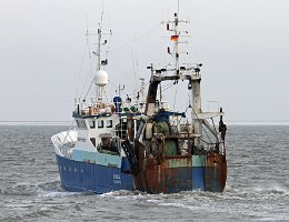 BIANCA - 33m [IMO:8716930] Trawler (Fishing vessel) Aufnahme: 2014-12-27 Baujahr: 1988 | DWT: 183t | Breite: 8,5m
