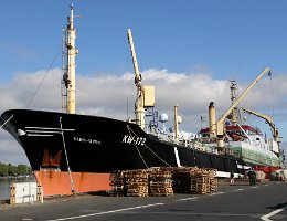 DIRK-DIRK KW-172 - 95m [IMO:8209171] Trawler (Fishing vessel) Aufnahme: 2018-07-04 Baujahr: 1983 | DWT: 2756t | Breite: 14,5m