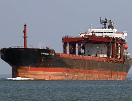 CURACAO PEARL - 188m [IMO:8308147] Massengutfrachter (Bulk Carrier) Aufnahme: 2017-05-10 Baujahr: 1984 | DWT: 42913t | Breite: 29,01m | Tiefgang: 12,34m Maschinenleistung: 6134 KW |...