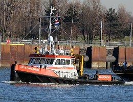 MTS VALOUR - 23m [IMO:9407299] Schlepper (Tug) Aufnahme: 2019-02-15 Baujahr: 2006 | Bollard pull: 23t | Breite: 8m | Tiefgang: 2,99m Maschinenleistung: 1284 KW |...