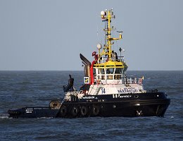 MULTRATUG 14 - 35m (ex) [IMO:9360594] Hafenschlepper (Tug) Neuer Name: FAIRPLAY 29 Aufnahme: 2015-12-09 Baujahr: 2006 | Bollard pull: 75t | Breite: 12m | Tiefgang: 4,70m...