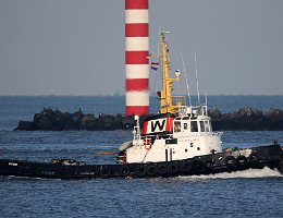 TAUCHER O. WULF 5 - 29m (ex) [IMO:6907169] Hafenschlepper (Tug) Neuer Name: CANAL SERVICES 5 Aufnahme: 2016-01-18 Baujahr: 1968 | Bollard pull: 25t | Breite: 8m | Tiefgang: 4,25m...