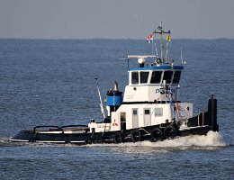 DOLFIJN - 22m [IMO-NR.] Inland- Schlepper (Tug) Aufnahme: 2016-01-18 Breite: 5m