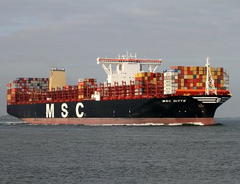 MSC Ditte Das Containerschiff fotografiert in Terneuzen